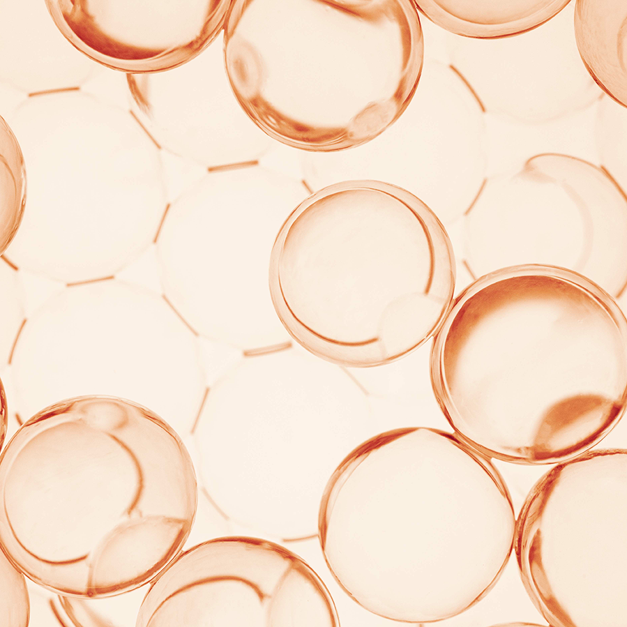 Ceramides