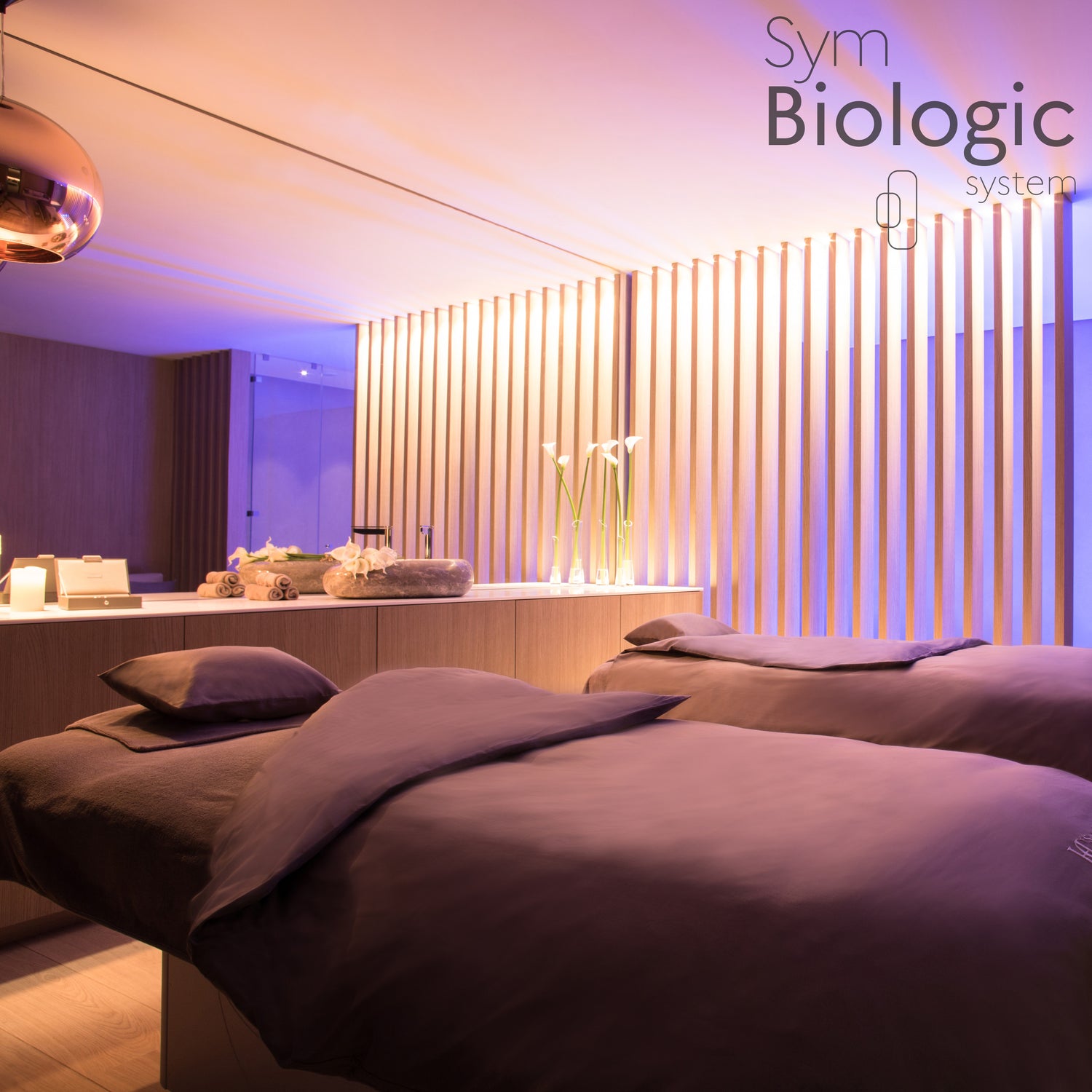 Image of a relaxing duo treatment cabin, designed for couples or friends to enjoy spa treatments together in a serene and intimate setting.